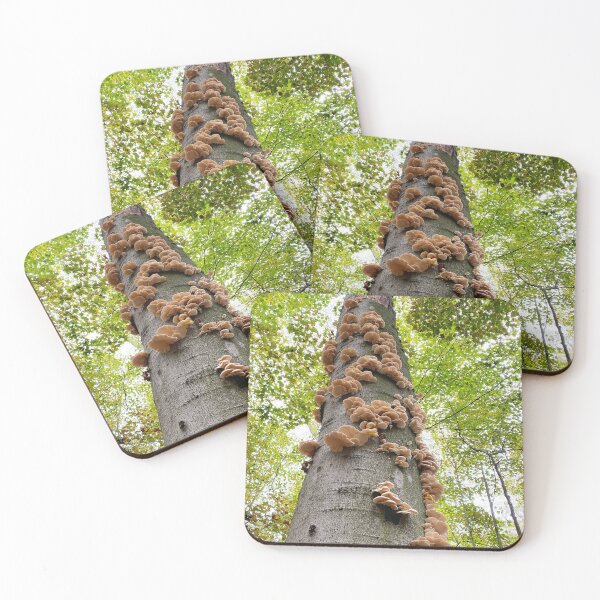 Item preview, Oyster mushrooms growing up a tree designed and sold by MostSplendid.