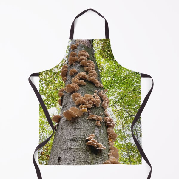 Item preview, Oyster mushrooms growing up a tree designed and sold by MostSplendid.
