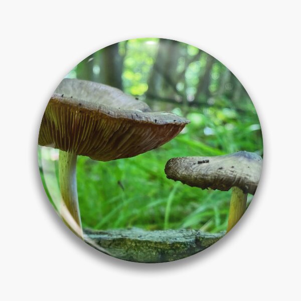 Item preview, Big Mushroom, smaller mushroom on a forest log designed and sold by MostSplendid.