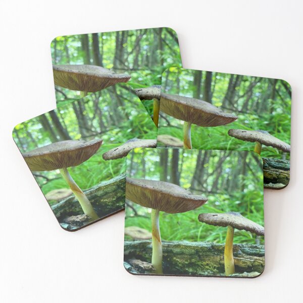 Item preview, Big Mushroom, smaller mushroom on a forest log designed and sold by MostSplendid.