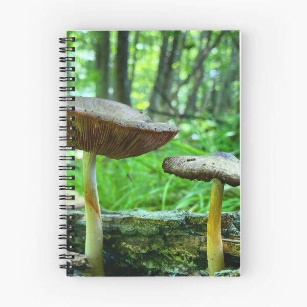 Item preview, Big Mushroom, smaller mushroom on a forest log designed and sold by MostSplendid.