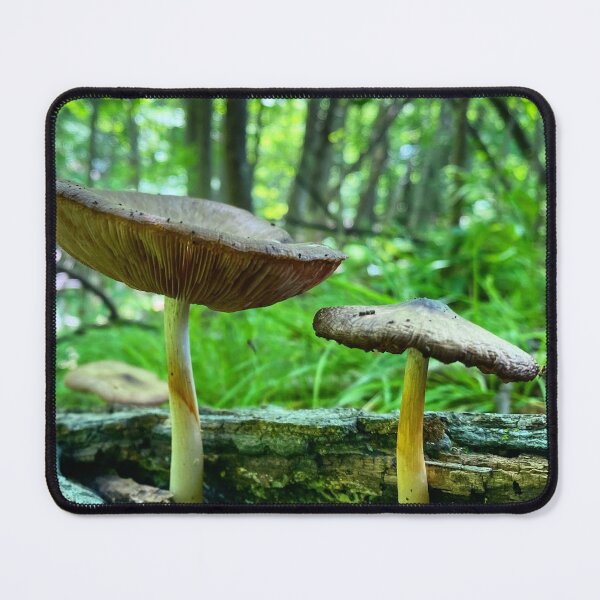 Item preview, Big Mushroom, smaller mushroom on a forest log designed and sold by MostSplendid.