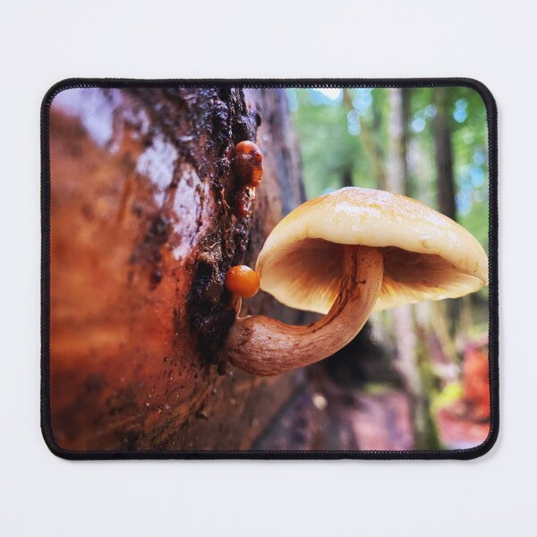 Item preview, Mushroom growing from the side of a log designed and sold by MostSplendid.