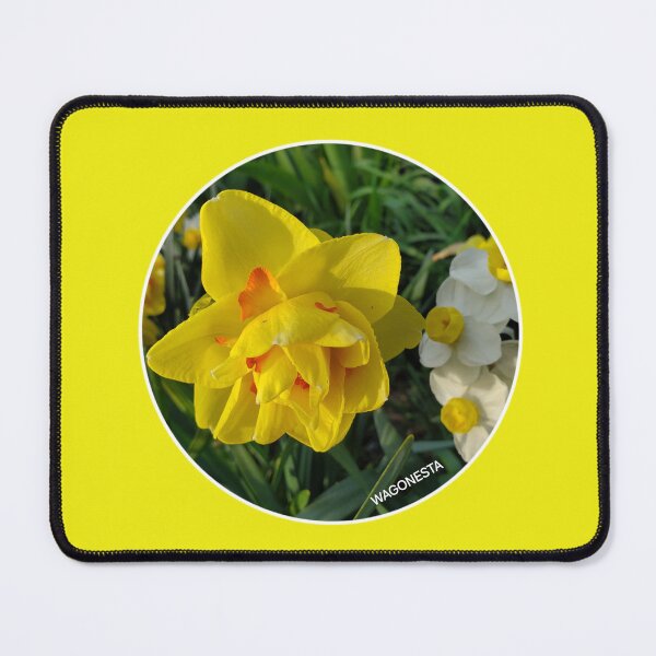 Item preview, Floral Tahiti Daffodil by Wagonesta designed and sold by Wagonesta.