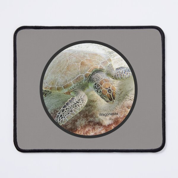 Item preview, Underwater Turtle in Ring on the Dive in Bonaire by Wagonesta designed and sold by Wagonesta.