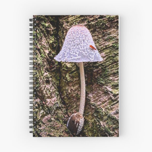 Artikelvorschau, Lila Pilz mit roten Flecken entworfen und verkauft von MostSplendid.