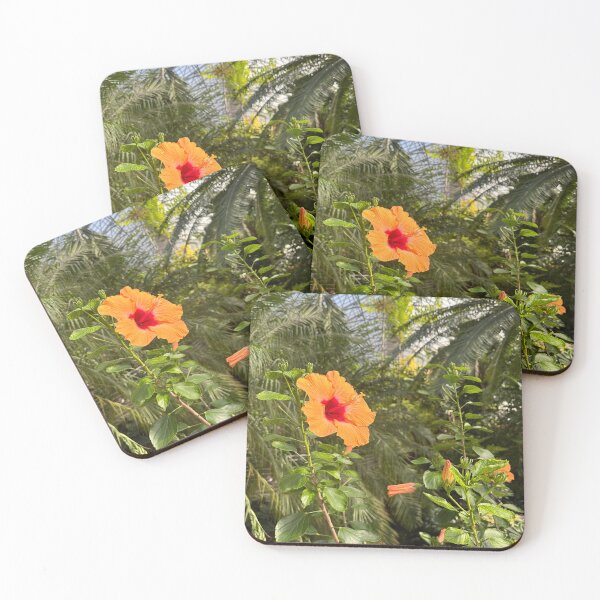Item preview, Orange Hibiscus Photography Print – Tropical Bloom from Waimea Valley, O‘ahu designed and sold by Stickers by @molllyclare.