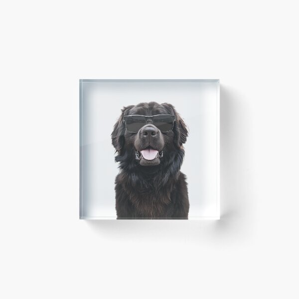 Item preview, Funny cool Newfoundland Dog wearing sunglasses designed and sold by LazyOwlStore.