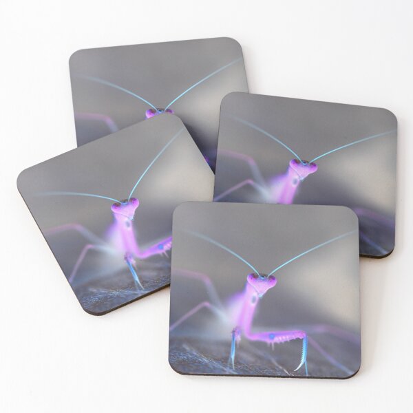 Item preview, Negative image of a grasshopper with a blurred background. designed and sold by KinImageCraft.