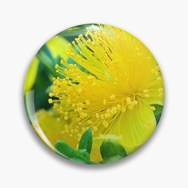 Item preview, St. John’s Wort designed and sold by Betsy Phillips.
