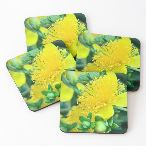 Item preview, St. John’s Wort designed and sold by Betsy Phillips.
