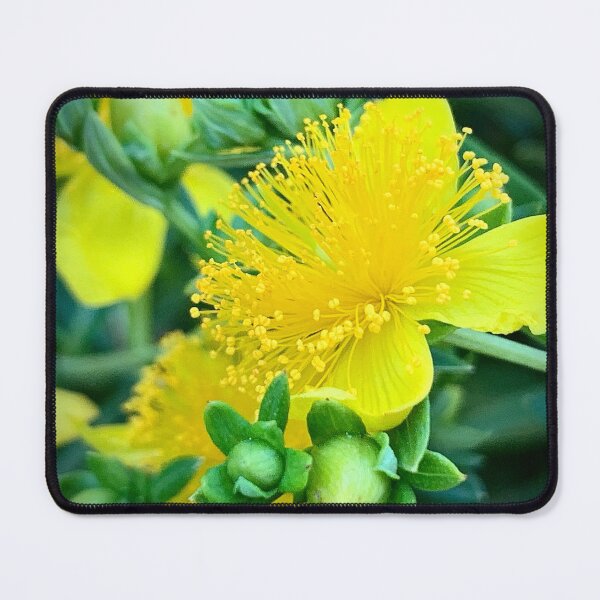 Item preview, St. John’s Wort designed and sold by Betsy Phillips.