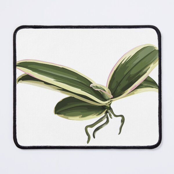 Item preview, Phalaenopsis variegata orchids leaves by hand drawing.  designed and sold by MatyKotiv.
