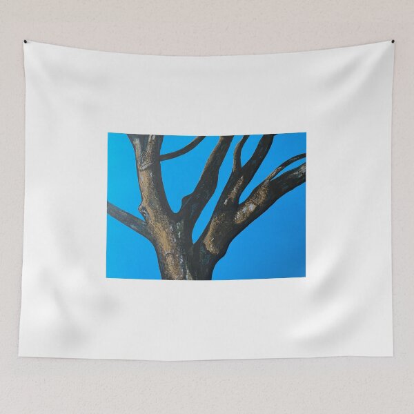 Item preview, Winter tree catching the sun designed and sold by BrianEydenArt.