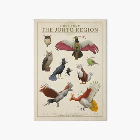 Item preview, Birds from Johto designed and sold by Julio Lacerda.