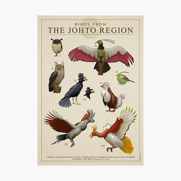Item preview, Birds from Johto designed and sold by Julio Lacerda.