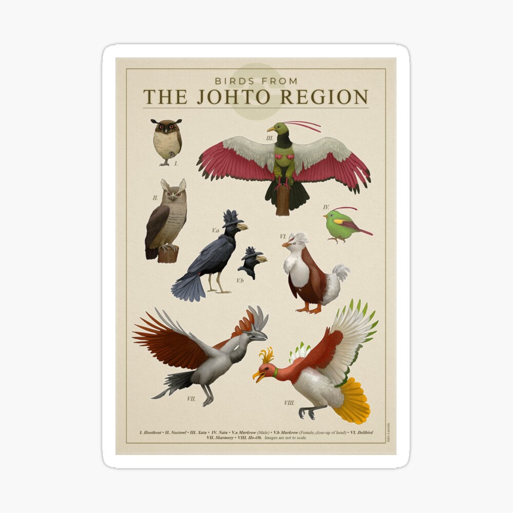 Birds from Johto Poster