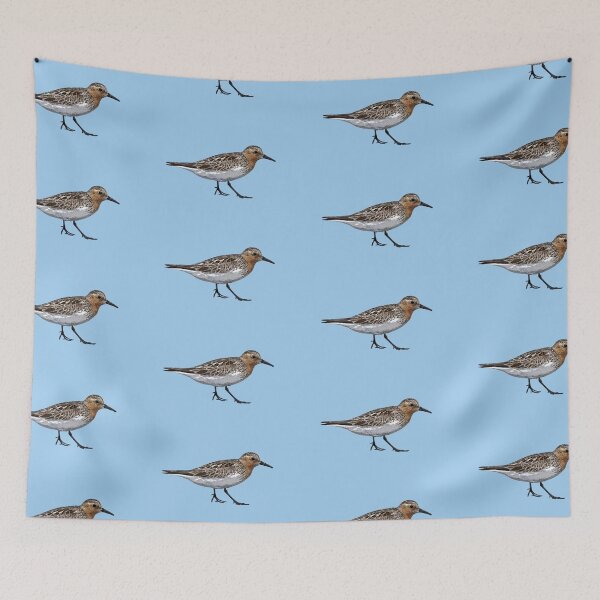 Item preview, Red-necked Stint Color Design  designed and sold by designsasstultd.