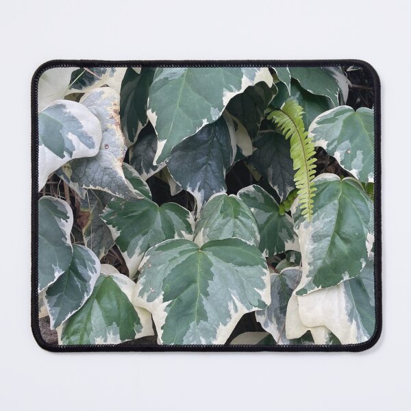 Item preview, Nature backdrop designed and sold by LED Designs.