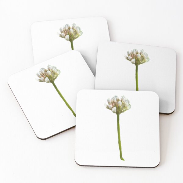 Item preview, Little White Clover Flower designed and sold by Alwaysannamated.