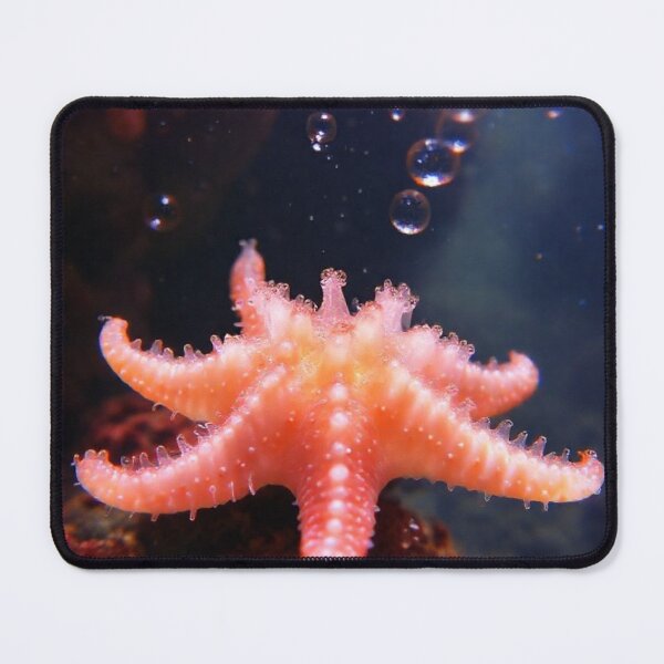 Item preview, Little Starfish Blowing Bubbles designed and sold by ValkArts.