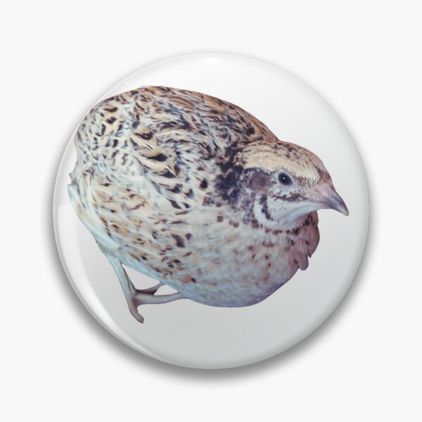 Item preview, Meet "Lady", the princess quail designed and sold by di-Vera-Rosati.
