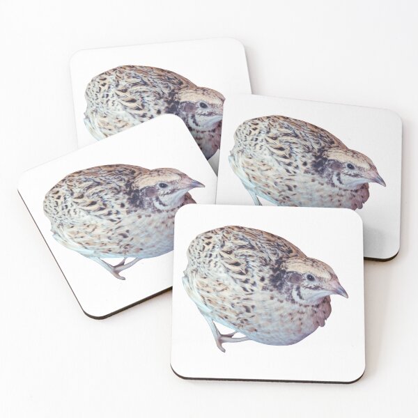 Item preview, Meet "Lady", the princess quail designed and sold by di-Vera-Rosati.