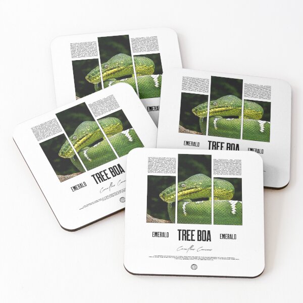 Item preview, Emerald Tree Boa Snake Owner Streetwear Reptile Keeper designed and sold by JRRTs.