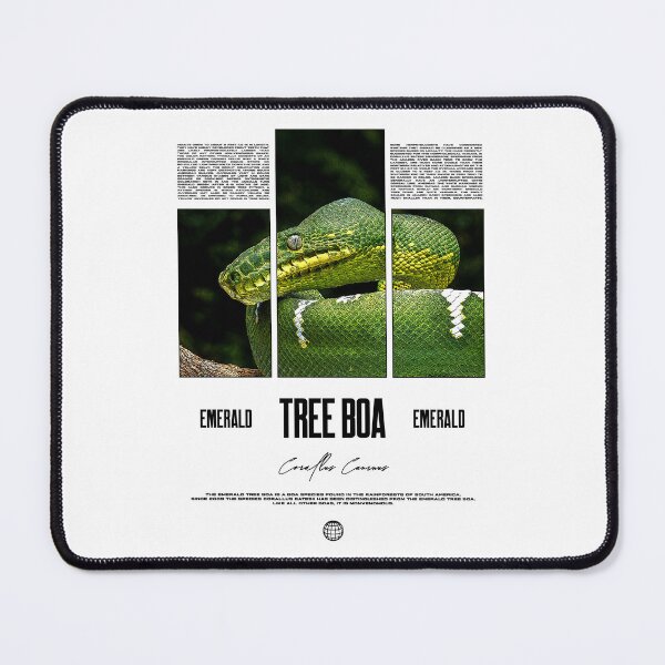 Item preview, Emerald Tree Boa Snake Owner Streetwear Reptile Keeper designed and sold by JRRTs.