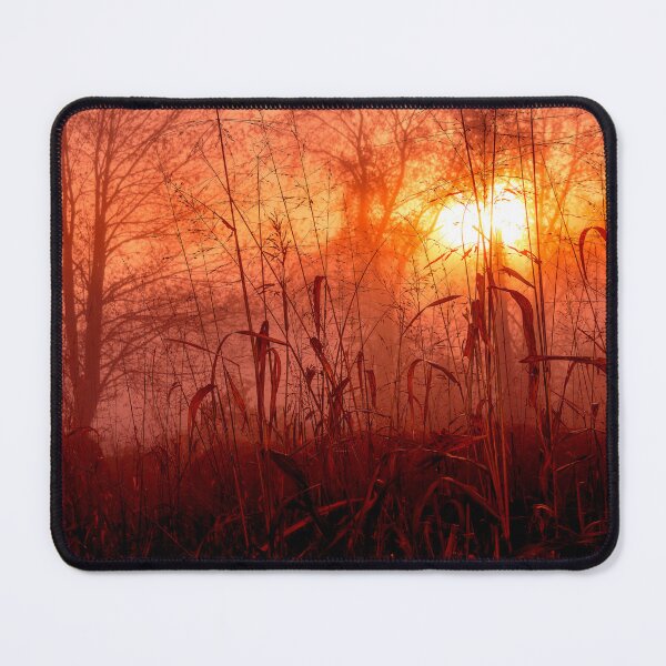 Item preview, Autumn Sunlight And Mist 2 designed and sold by Jim Love.