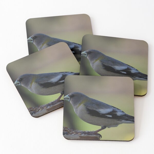 Item preview, A big beak wandering at the garden feeder designed and sold by Claude Laprise.