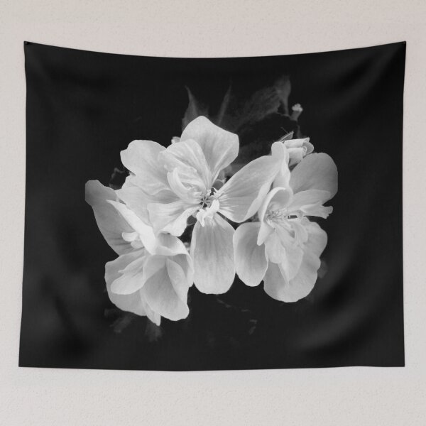 Item preview, Beautiful black and white geranium flower photography designed and sold by by-jwp.