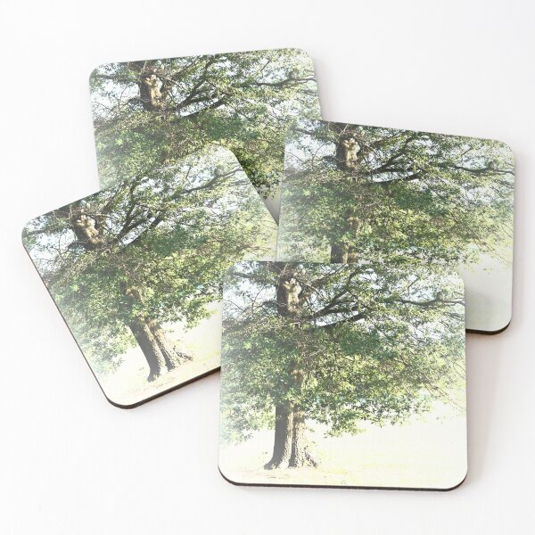 Item preview, Tree And Light designed and sold by RVogler.