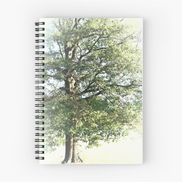 Item preview, Tree And Light designed and sold by RVogler.