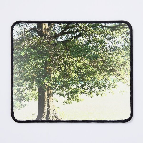 Item preview, Tree And Light designed and sold by RVogler.