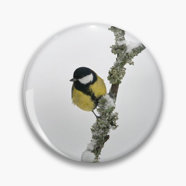 Item preview, Light. Great tit designed and sold by Jouko Lehto Photography.