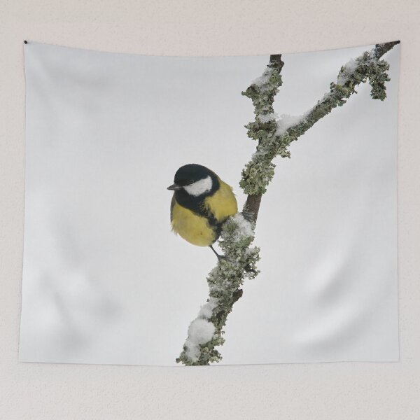Item preview, Light. Great tit designed and sold by Jouko Lehto Photography.