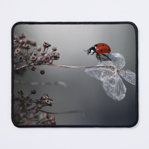 Item preview, Ladybird on old hydrangea  designed and sold by Ellen van Deelen.