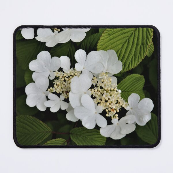 Item preview, Summer Snowflake designed and sold by RVogler.