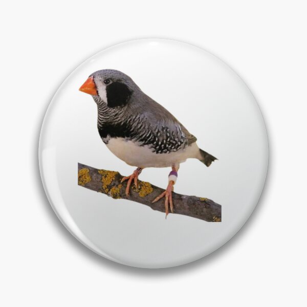 Item preview, Male bullfinch designed and sold by di-Vera-Rosati.