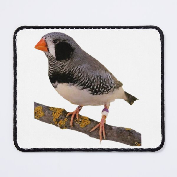 Item preview, Male bullfinch designed and sold by di-Vera-Rosati.