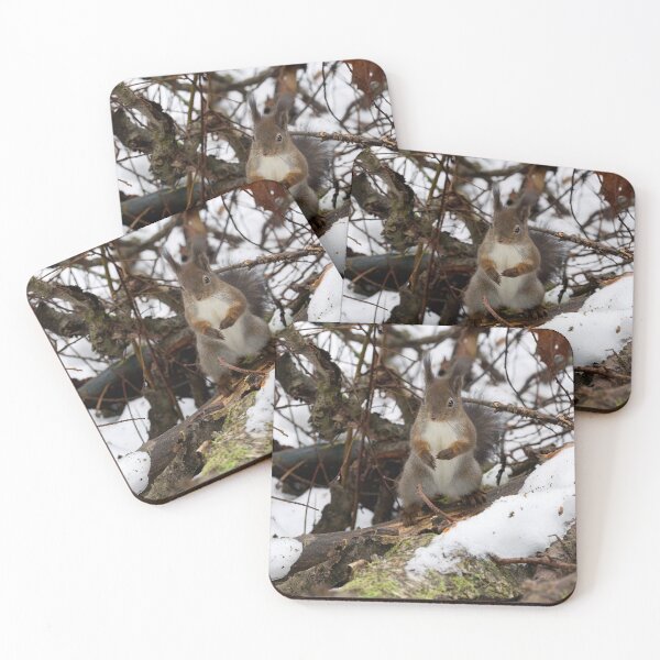 Item preview, King of the rods.  Red squirrel designed and sold by Jouko Lehto Photography.