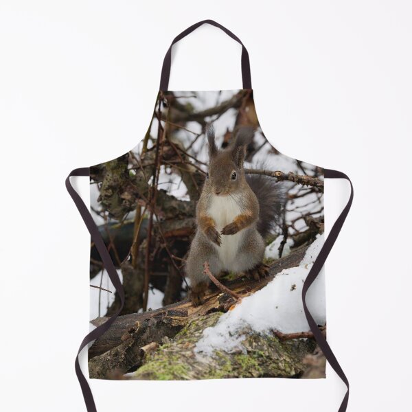 Item preview, King of the rods.  Red squirrel designed and sold by Jouko Lehto Photography.