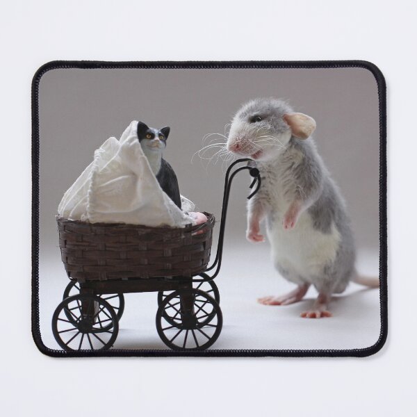 Item preview, Froppy when he was about 8 weeks old. designed and sold by Ellen van Deelen.