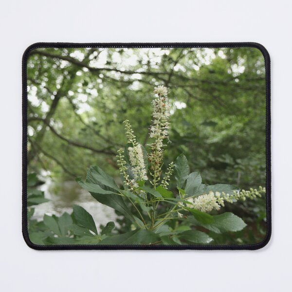 Item preview, Sweet Pepperbush designed and sold by RVogler.