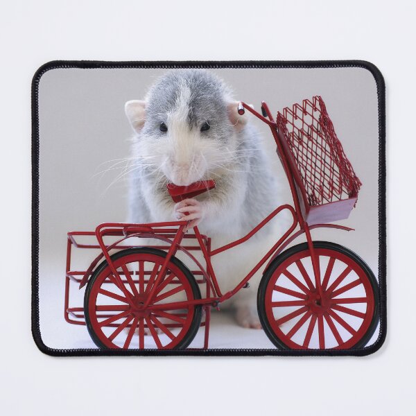 Item preview, "I wish I knew how to ride this bike" designed and sold by Ellen van Deelen.