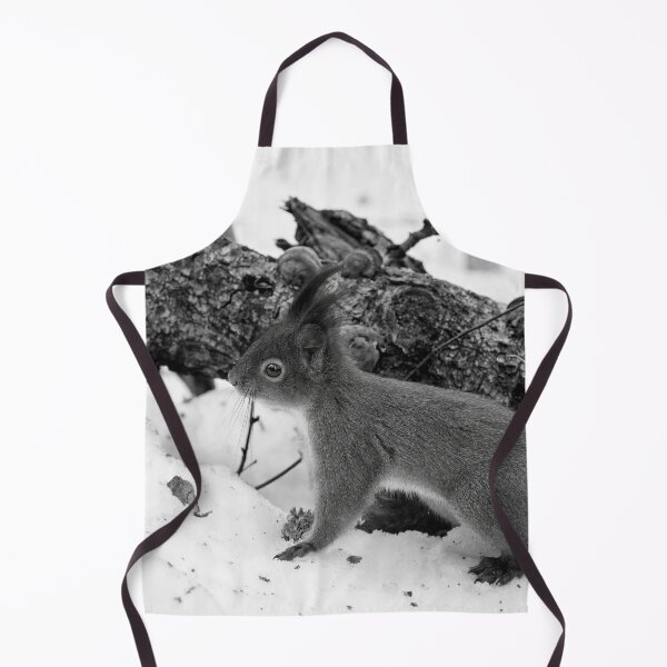 Item preview, Where is the tail. Red squirrel bw designed and sold by Jouko Lehto Photography.