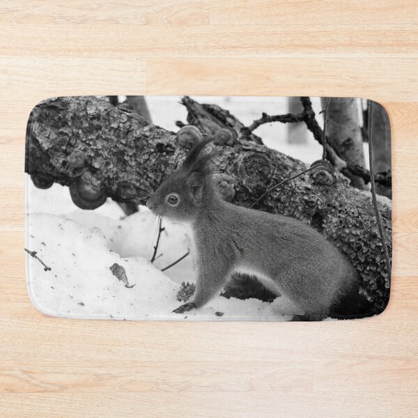 Item preview, Where is the tail. Red squirrel bw designed and sold by Jouko Lehto Photography.