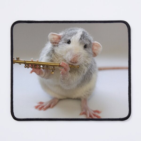 Item preview, I really can play :) designed and sold by Ellen van Deelen.