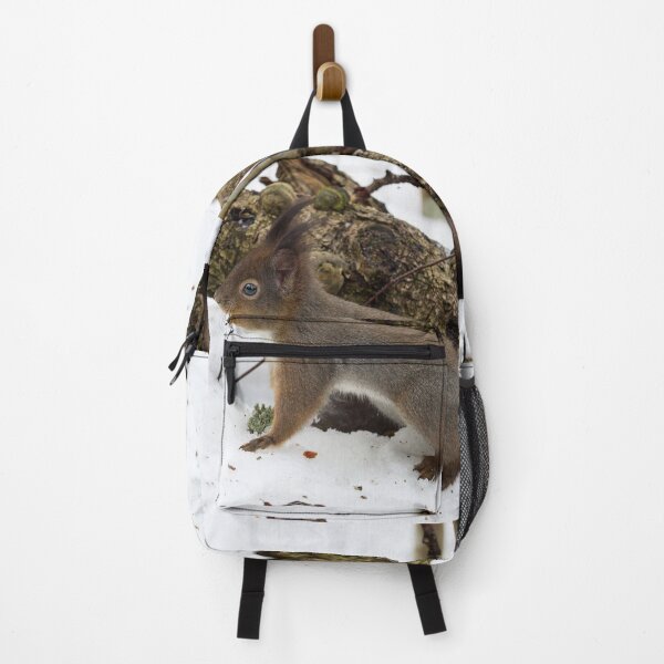 Item preview, Where is the tail. Red squirrel designed and sold by Jouko Lehto Photography.